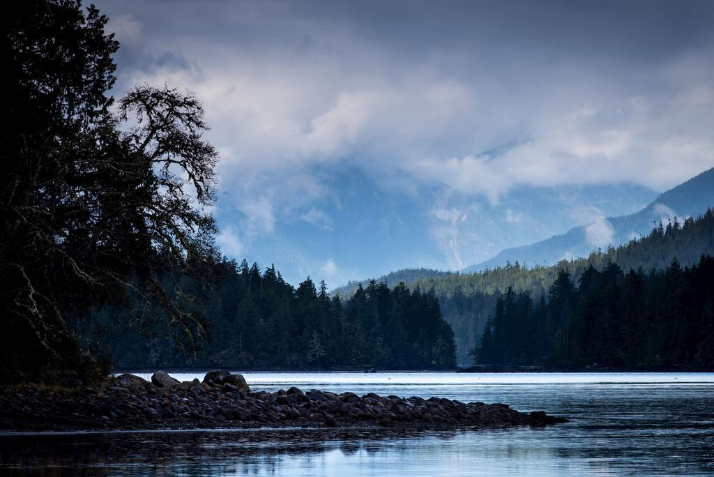 Ecolodge - Tofino Dış mekan fotoğraf