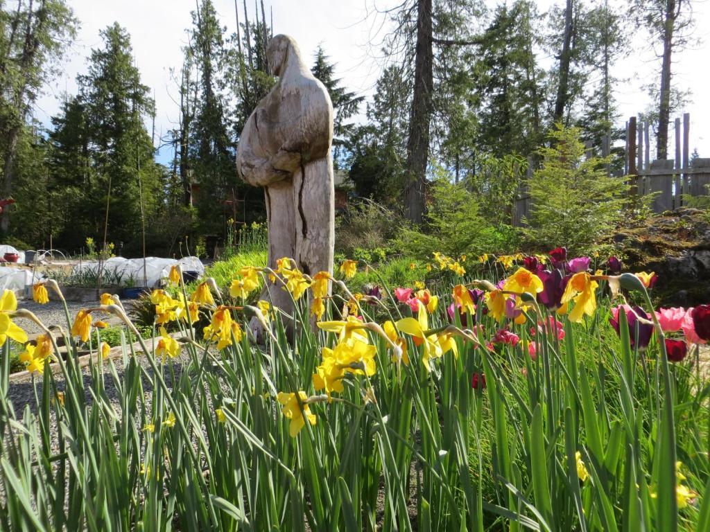 Ecolodge - Tofino Dış mekan fotoğraf