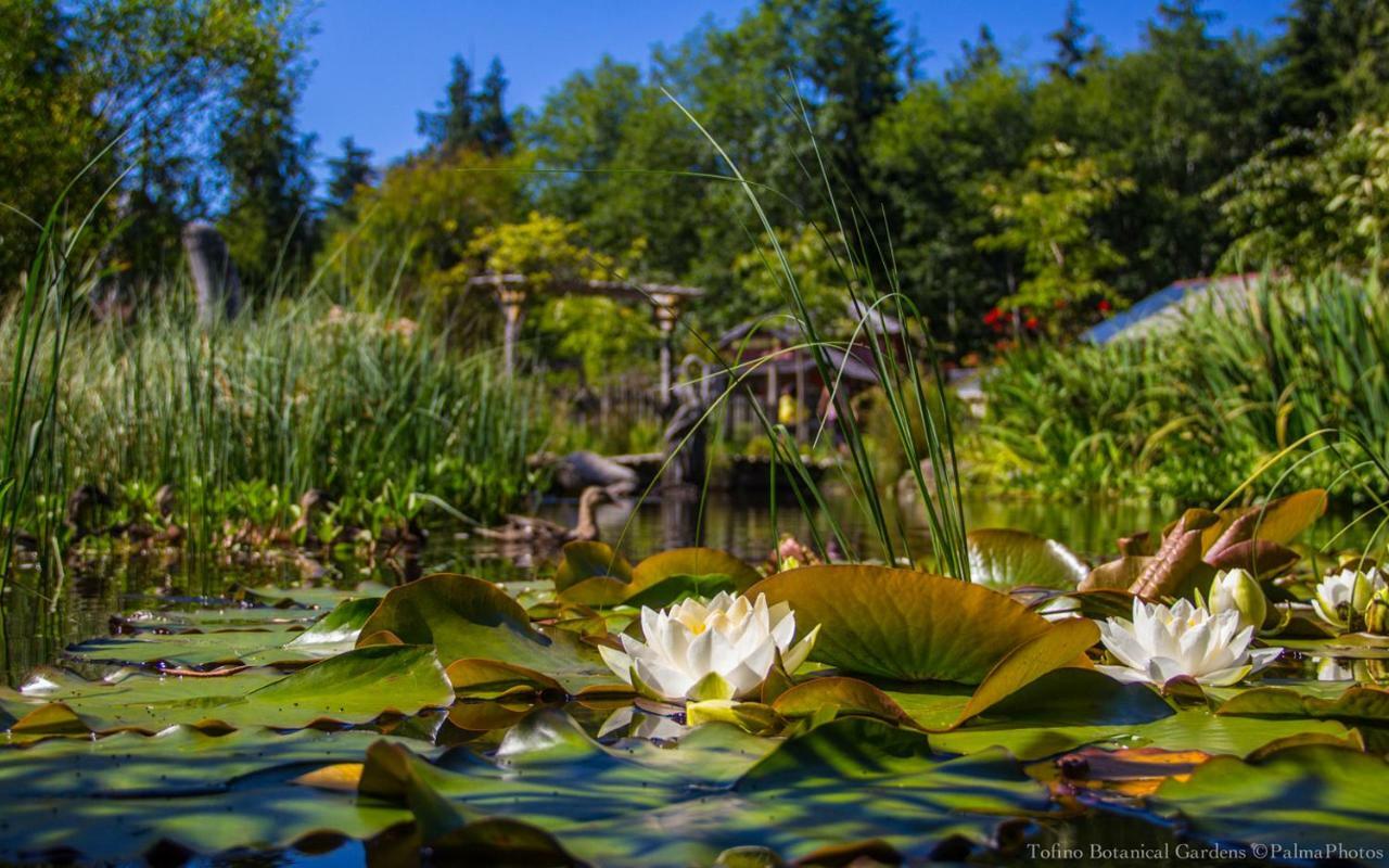 Ecolodge - Tofino Dış mekan fotoğraf